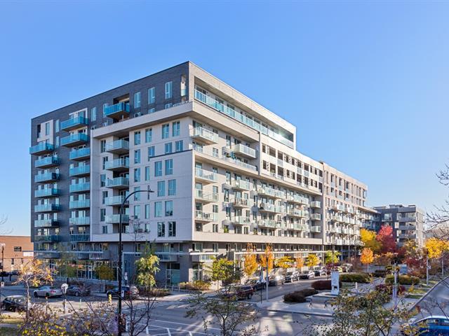 5100 Rue Molson|#807|Montréal (Rosemont/La Petite-Patrie), Quebec H1Y0A7