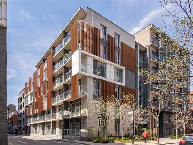 Property image for 109 Rue Charlotte|#306|Montréal (Ville-Marie), Quebec H2X1M2