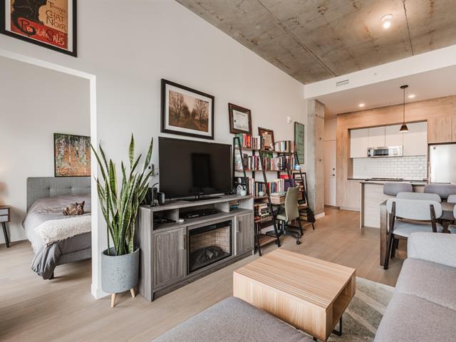 3155 Av. Parkville|#520|Montréal (Mercier/Hochelaga-Maisonneuve), Quebec H1N0E7