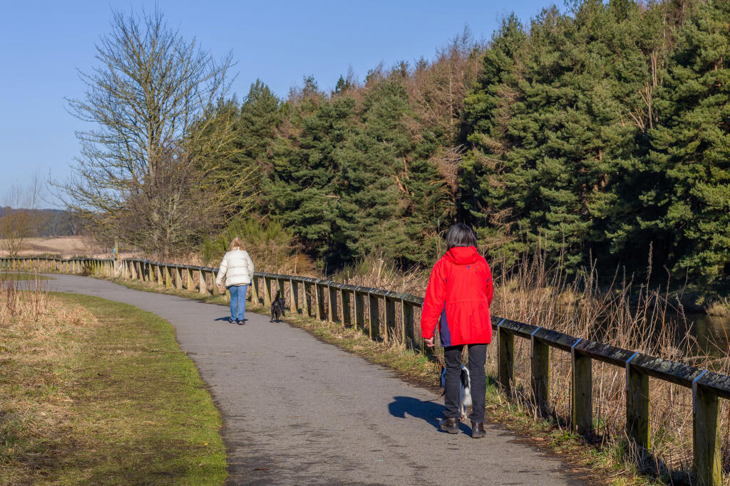 Additional image 17 of Riverview Drive, 
Dyce, 
Aberdeen, 
Aberdeen City, 
AB21 7LD