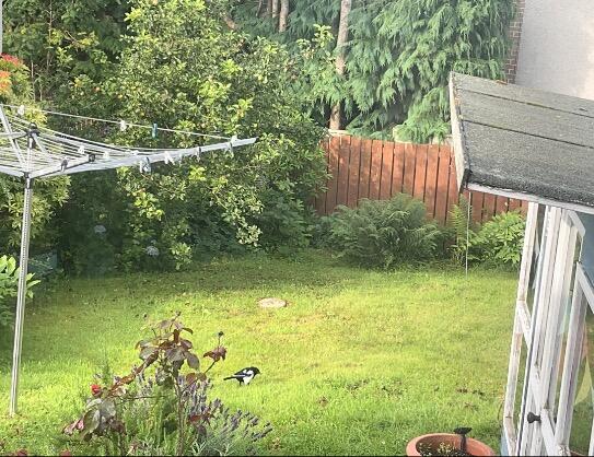 Additional image 8 of Craig Gardens, Aberdeen, AB15