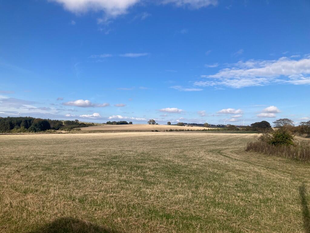 Additional image 9 of Newseat of Ardo, Methlick