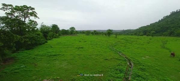 Property image for Pondha, Dehradun