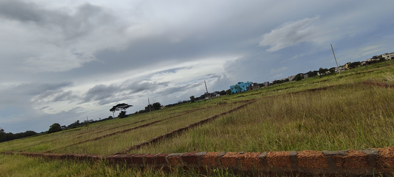 Additional image 2 of Retang, Bhubaneswar