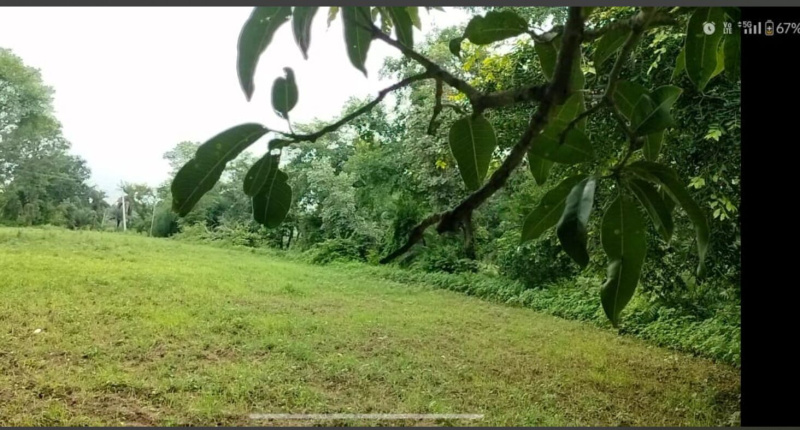 Property image for Dabok, Udaipur