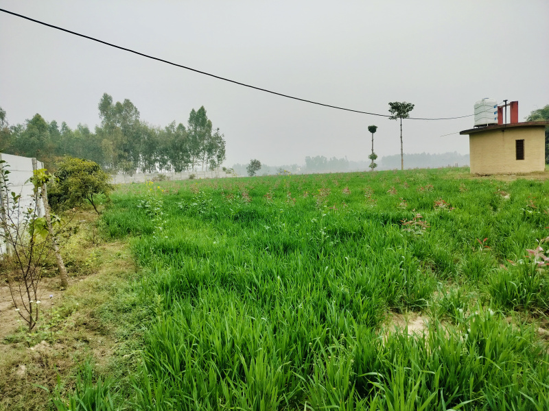 Property image for Biharigarh, Dehradun