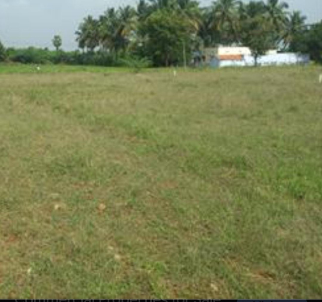 Additional image 3 of Mandela Nagar, Madurai