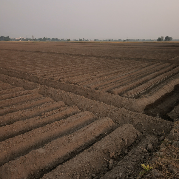 Additional image 2 of Doraha, Ludhiana