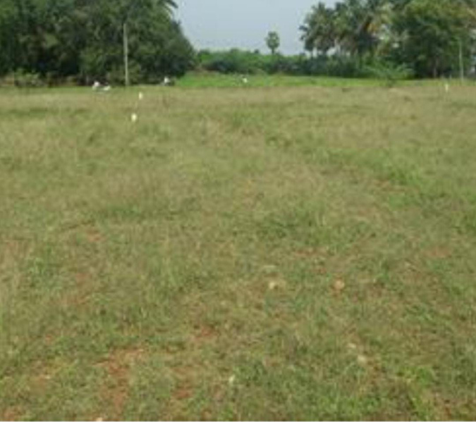 Additional image 2 of Mandela Nagar, Madurai