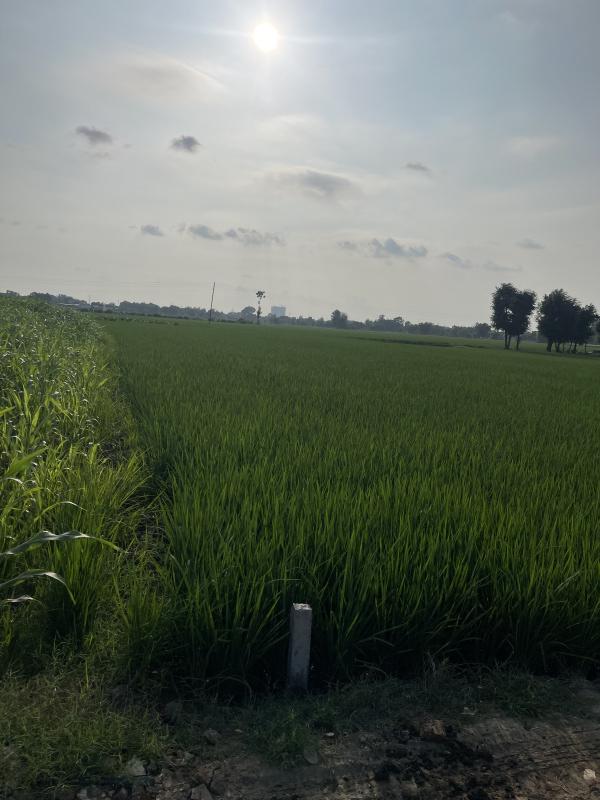 Additional image 3 of Ferozepur road, Ludhiana