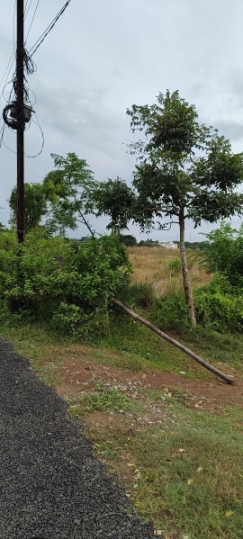 Additional image 3 of Retang, Bhubaneswar