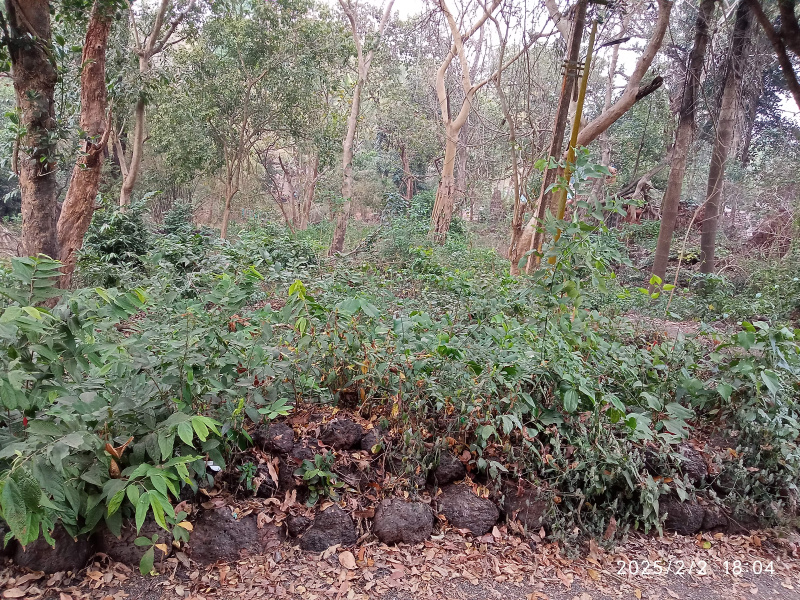 Property image for Sodiem Siolim, North Goa, Goa