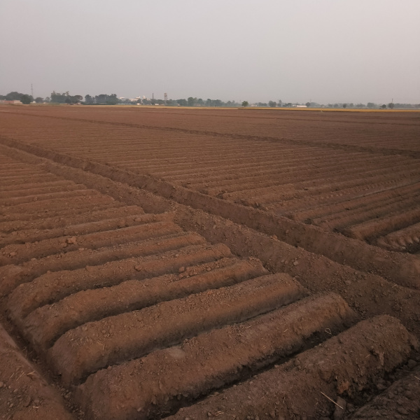 Additional image 3 of Doraha, Ludhiana