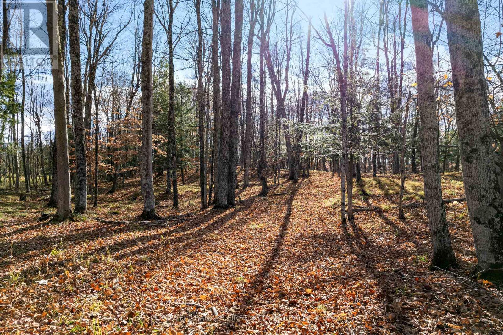 Property image for PT 2-00 HERRON MILLS ROAD|Lanark Highlands, Ontario K0G1K0