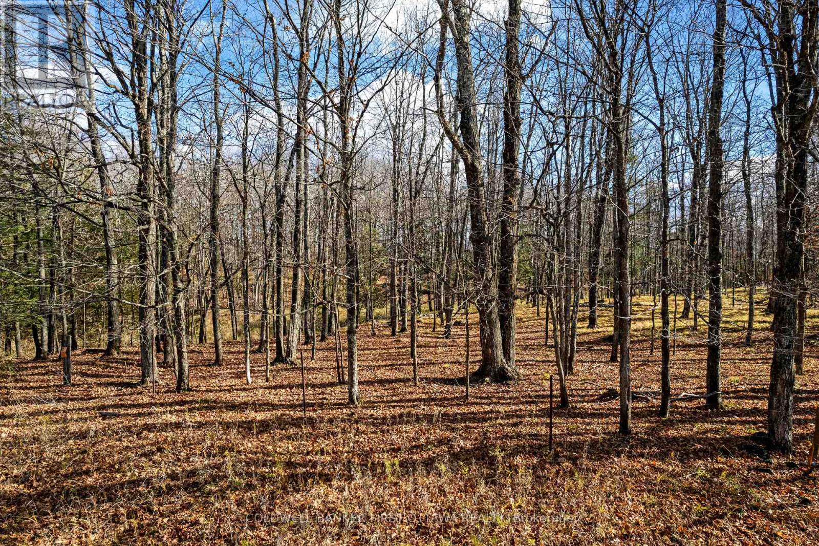 Property image for PT 3-00 HERRON MILLS ROAD|Lanark Highlands, Ontario K0G1K0