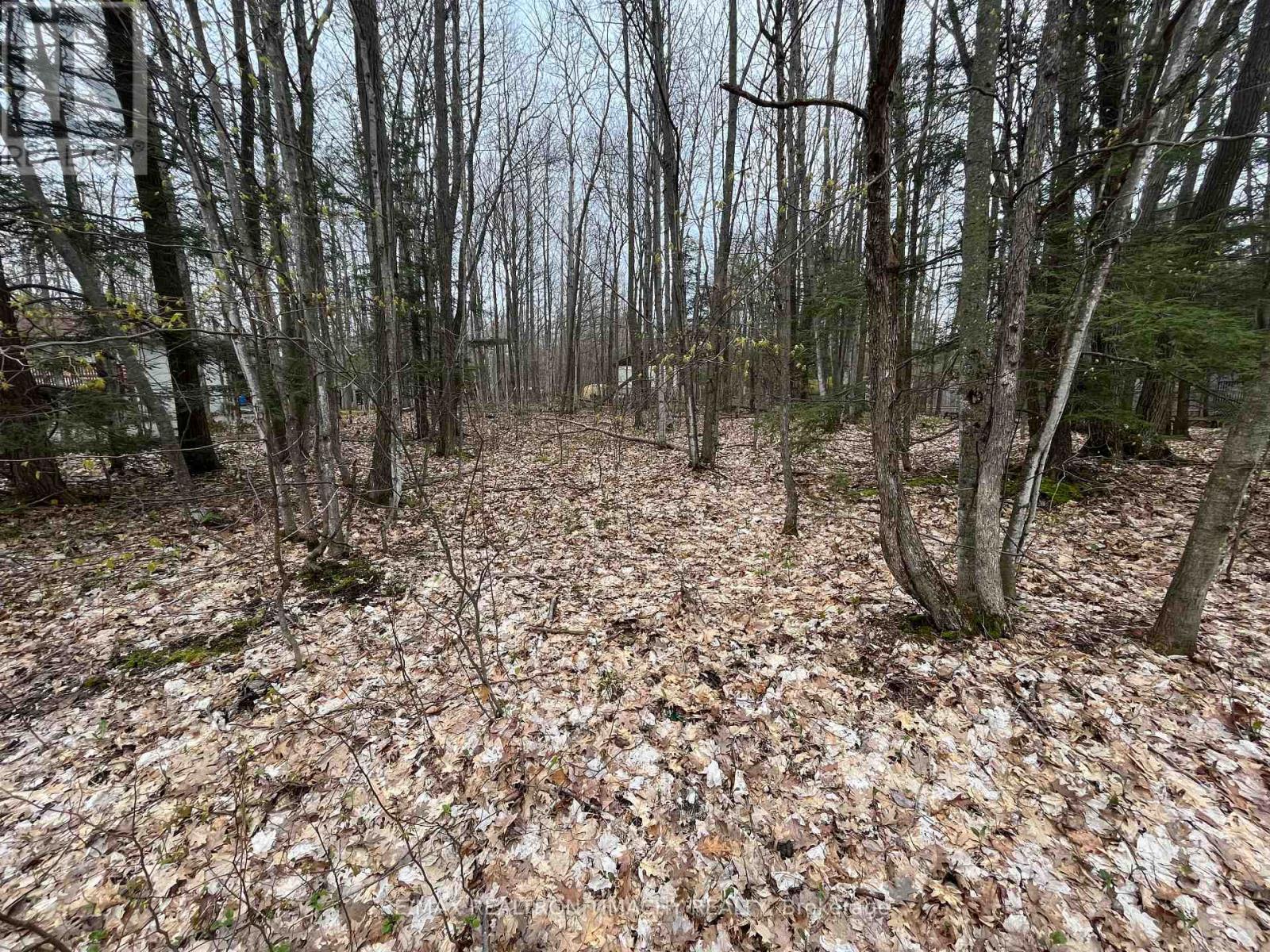 Property image for LOT 705 WOLFE TRAIL|Tiny, Ontario L9M0H7