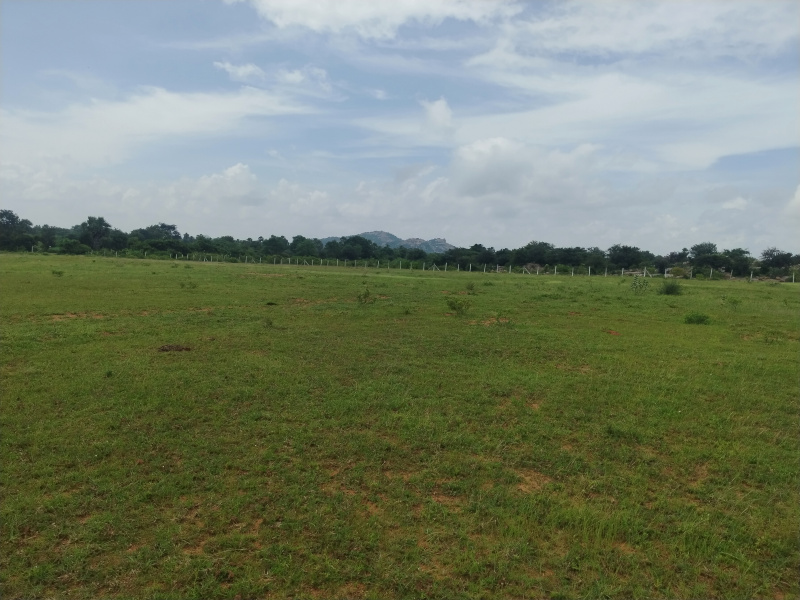 Additional image 3 of Kadthal, Hyderabad