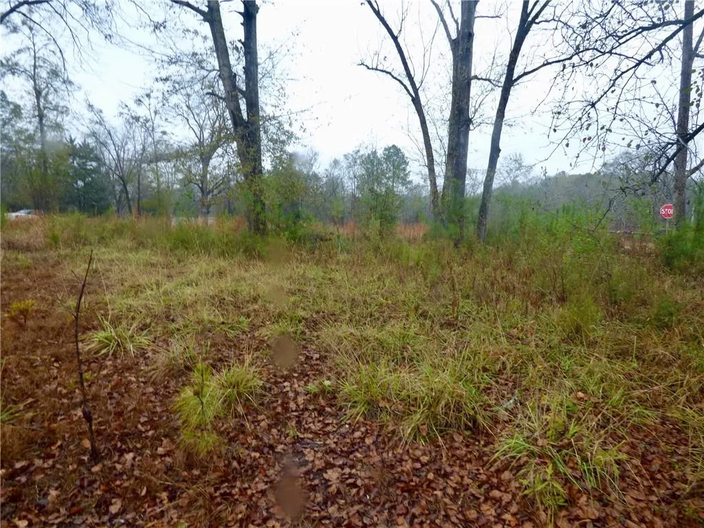 Additional image 6 of Cobb Street, Hurtsboro, AL 36860