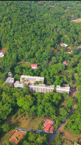 Maina, Goa