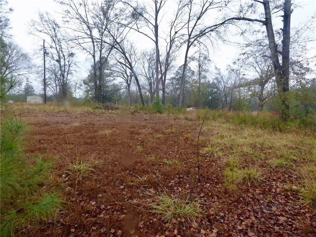 Additional image 5 of Cobb Street, Hurtsboro, AL 36860