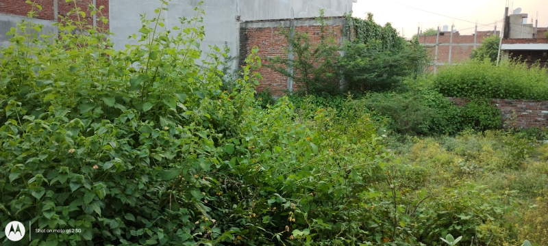 Property image for Mandhana, Kanpur