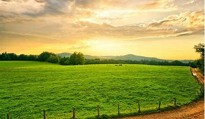 Additional image 3 of Bavdhan, Pune