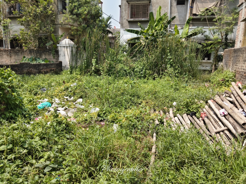 Additional image 2 of Bansdroni, Kolkata