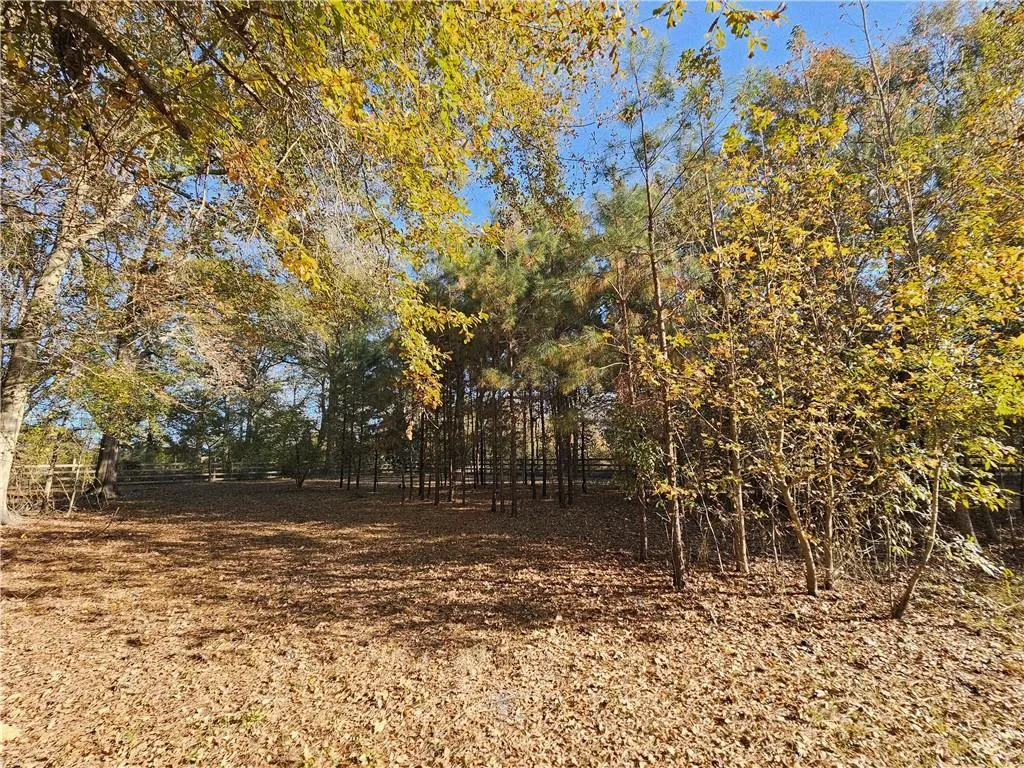 Additional image 36 of 480 Blanding Road, Hatchechubbee, AL 36858