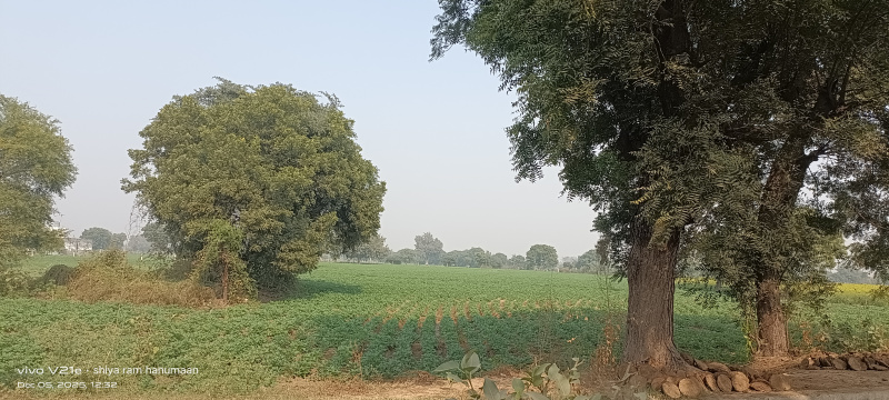 Fatehabad Road, Agra