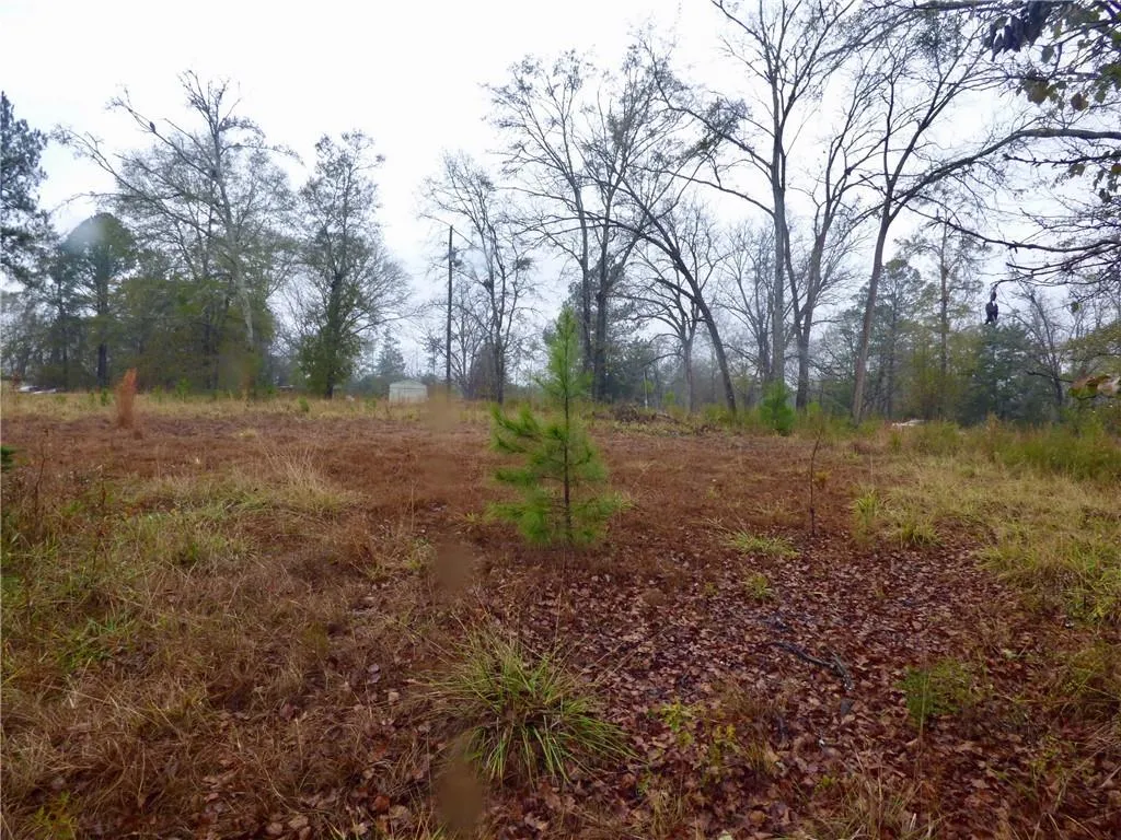 Additional image 3 of Cobb Street, Hurtsboro, AL 36860