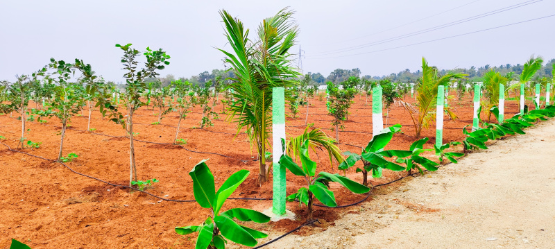 Additional image 3 of East Coast Road, Pondicherry