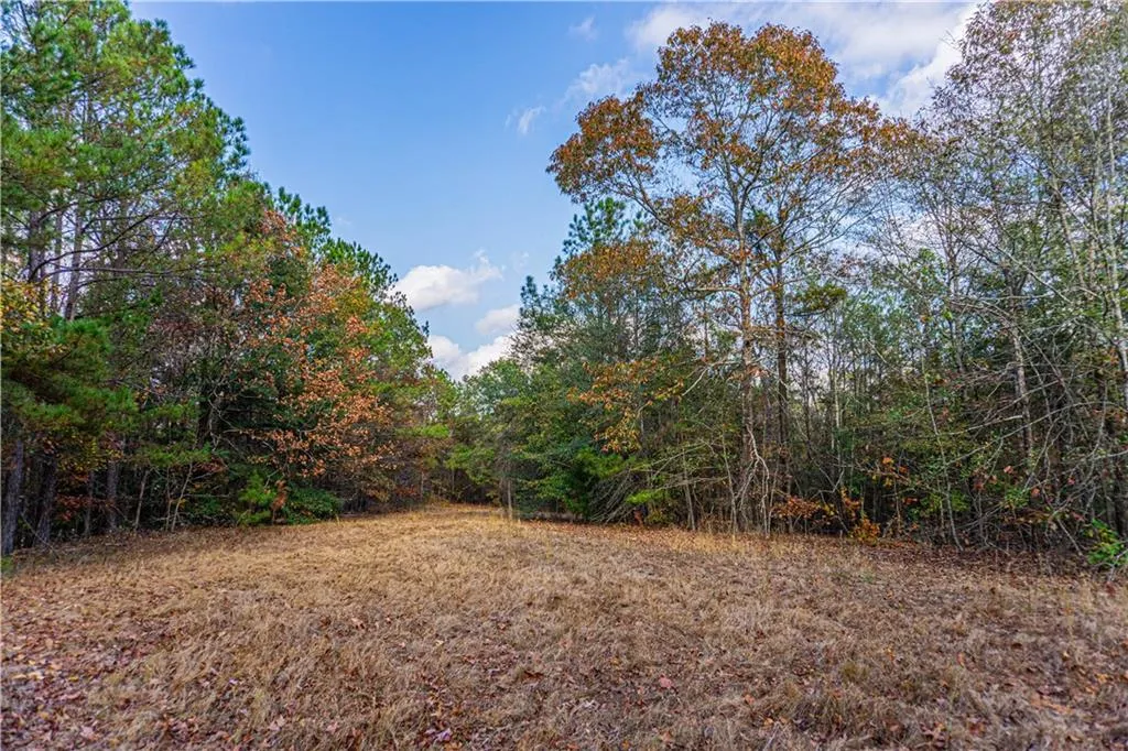 Additional image 3 of Lee Rd 175, Salem, AL 36874