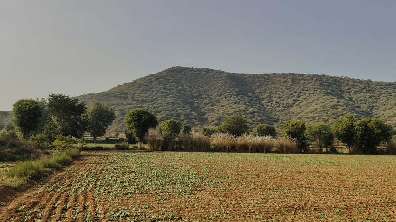 Tijara, Alwar