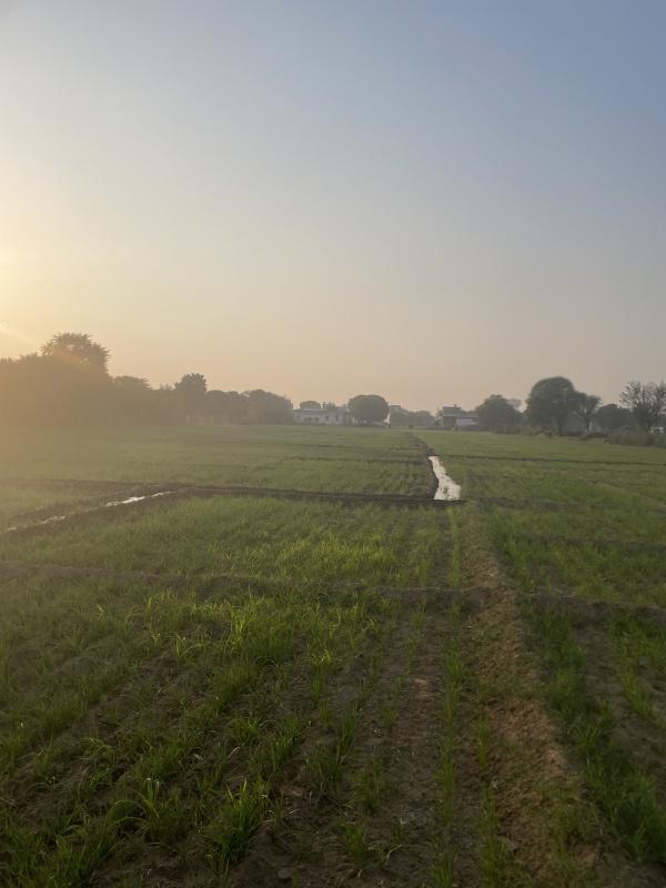 Property image for Bambala, Jaipur