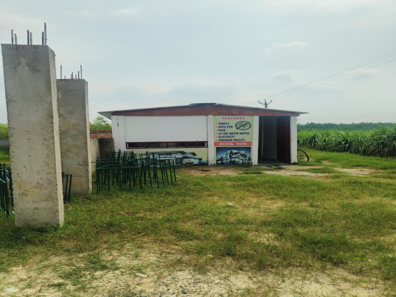 Property image for Patanjali Yogpeeth, Haridwar