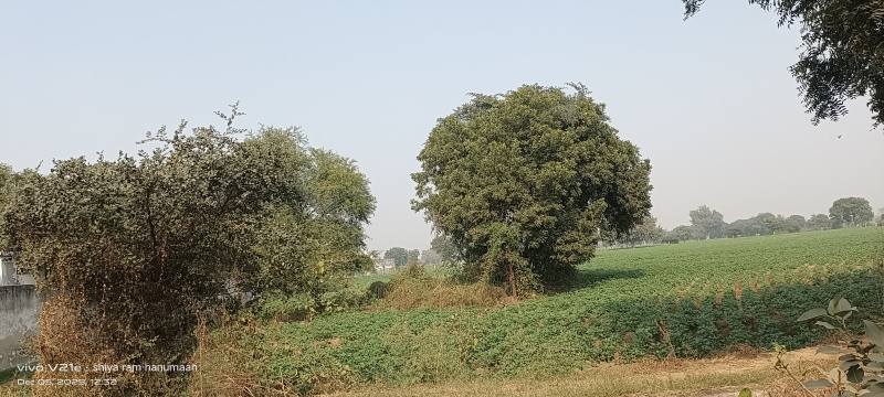Additional image 3 of Fatehabad Road, Agra