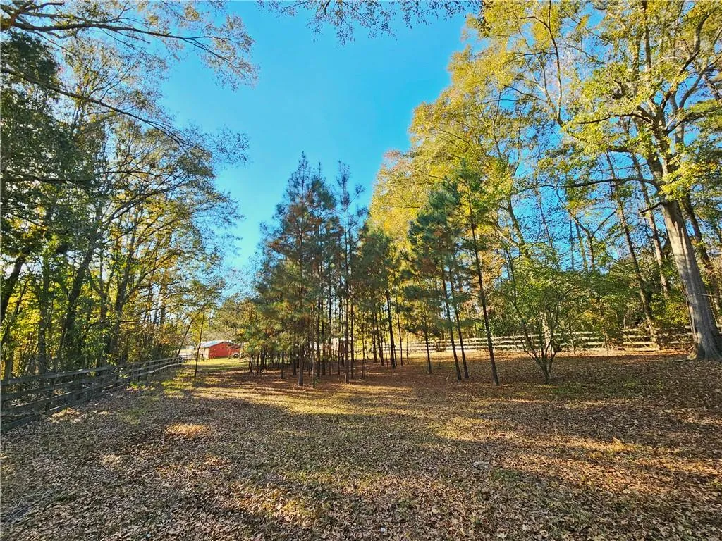 Additional image 37 of 480 Blanding Road, Hatchechubbee, AL 36858