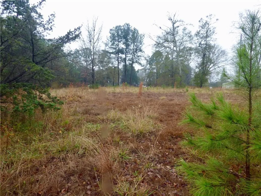 Additional image 9 of Cobb Street, Hurtsboro, AL 36860