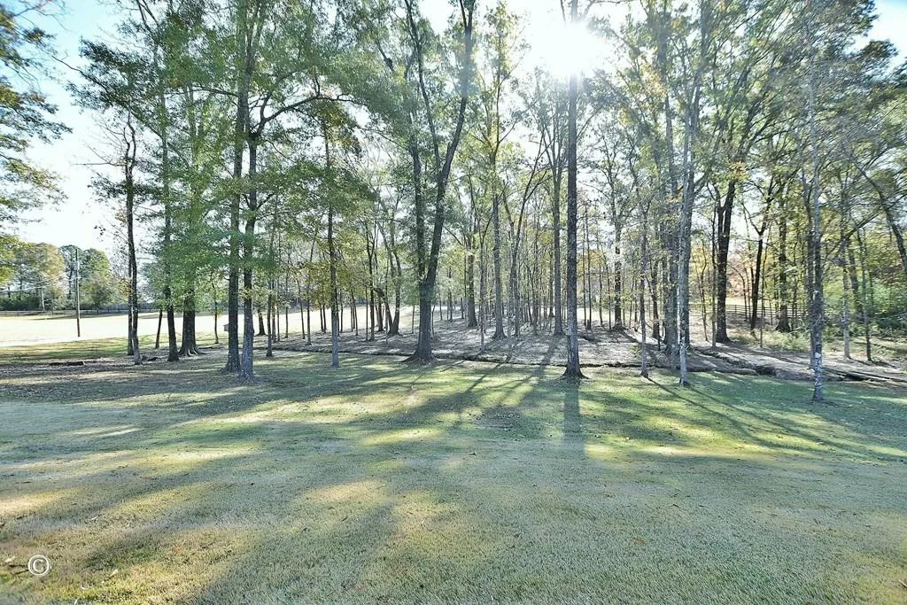 Additional image 57 of 83 Lee Road 640, Salem, AL 36874