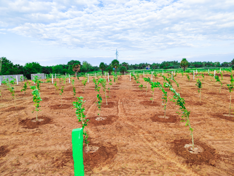 Property image for East Coast Road, Pondicherry