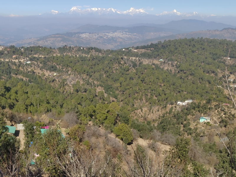 Mukteshwar, Nainital