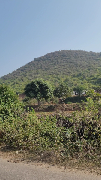 Additional image 3 of Thanagazi, Alwar