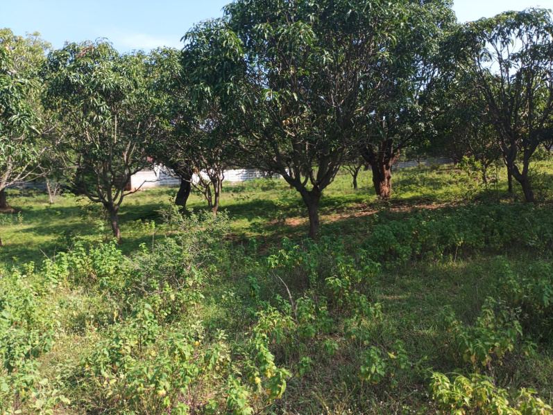 Additional image 3 of Keesara, Hyderabad