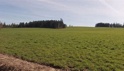 Additional image 2 of Bavdhan, Pune