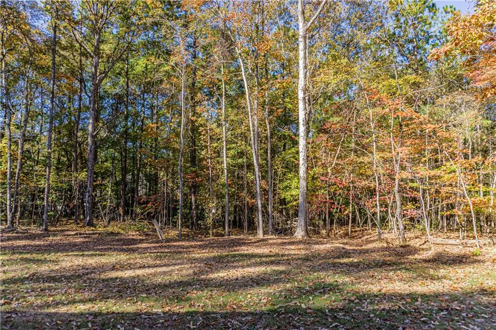 Additional image 37 of 1793 Lee Road 288, Smiths Station, AL 36877