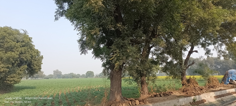 Additional image 2 of Fatehabad Road, Agra