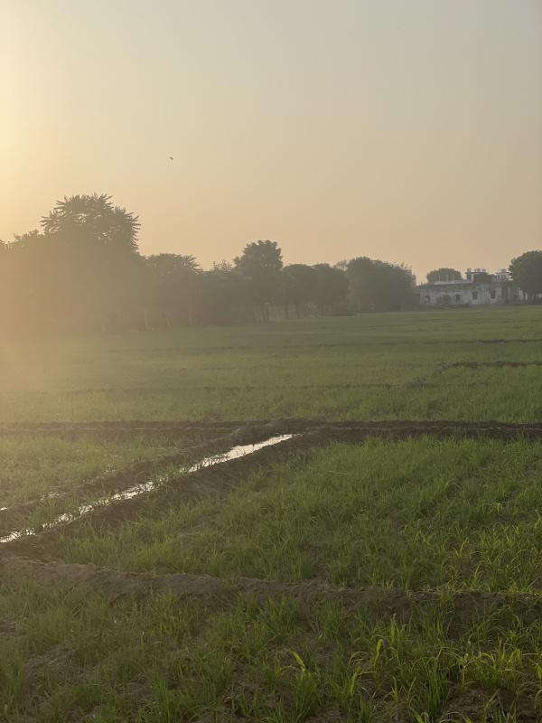 Additional image 3 of Bambala, Jaipur