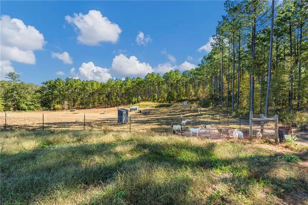 Additional image 50 of 2398 County Road 28, Lafayette, AL 36862