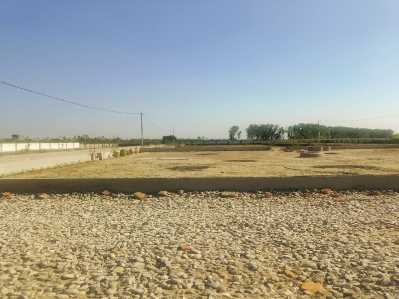 Additional image 2 of Patanjali Yogpeeth, Haridwar