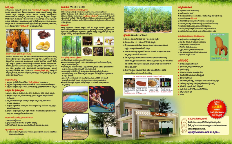 Additional image 2 of Devarapalli, Visakhapatnam